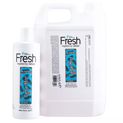Picture of Groom Professional Fresh Cedar Mist Shampoo